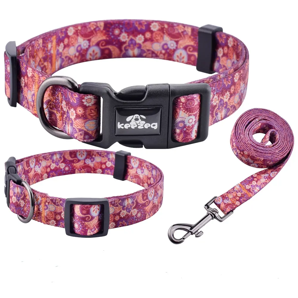 Conjunto de coleira de animais de estimação, baixa qualidade personalizada, estampada ajustável, animal de estimação