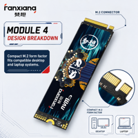 FANXIANG S790E M.2 2280 SSD 1TB NVMe PCIe 4.0 Disque SSD Interne 600TBW OEM Fournisseur en Gros pour Système d'Assemblage
