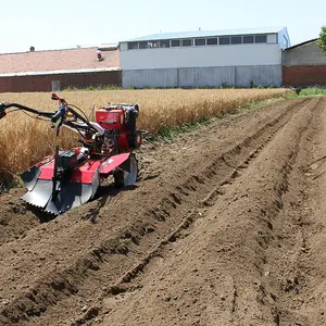 Strong power Mini farm tiller for Argricultrual Work