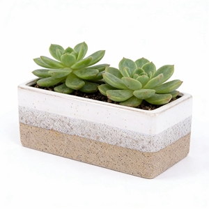 <span class=keywords><strong>Maceta</strong></span> de Cerámica Moderna de Lujo para Bonsái, Acabado Esmaltado, Uso en Interiores, Rectangular, para Suculentas, Color Marrón, para Hogar y Jardín - Product Image 3