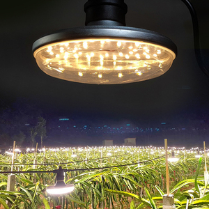 หลอดไฟ LED สีขาวนวล/ชมพูให้ความอบอุ่น3000K E27เต็มสเปกตรัม5000K หลอดไฟ LED อะลูมิเนียมกันน้ำ15W สำหรับปลูกต้นไม้หลอดไฟดราก้อนผลไม้บาน - Product Image 4