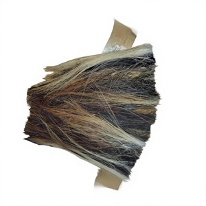 สารสกัดจากขนหางม้าแบบไม่ละลายน้ำ ยี่ห้อ B.S INTERNATIONAL ขายส่ง อายุการเก็บรักษา 3 ปี จัดเก็บในตู้เย็น บรรจุในถุง PP ยี่ห้อ Uttar - Product Image 1