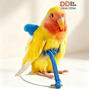 Correa para Loros para Uso en Exteriores, Segura para las Patas y Evita la <span class=keywords><strong>Escape</strong></span> Durante el <span class=keywords><strong>Vuelo</strong></span>, Correa para Interacción y Entrenamiento de Loros - Product Image 1