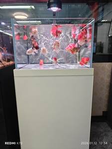 고알루미늄 합금 어항 대형 거실 수족관 초투명 유리 홈룸 칸막이 바닥 필터 물갈이 필요없음 - Product Image 6