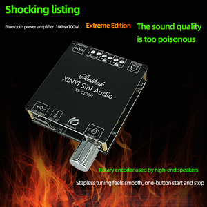 XINYI Sini Audio TPA3116 Digital <b>Amplifier</b> Board, 100W HIFI Stereo Power <b>Amplifier</b> Module - Product Image 4