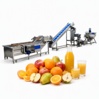 Volledig automatische sap productielijn appel sinaasappel mango fruit sap verwerkingsapparatuur turnkey project