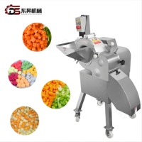 Automatische groenten snijmachine van roestvrij staal, fruitblokjes snijmachine