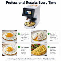 Friteuse à œufs électrique automatique professionnelle en acier inoxydable à induction pour restaurants et hôtels, machine à omelettes, stockage d'œufs