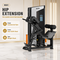 Appareil de fitness à charge par poulie Select Fitness Machine Exercise Selectorized Kick Back (Machine d'extension des hanches debout)