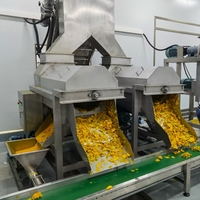 Vruchtensapverwerkingsmachine Vruchtensap Productielijn Prijs Sinaasappelsap Productielijn