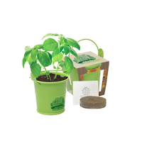 Kits de fleur de arrosoir de peinture de cuisson de couleur en métal pour la croissance de fleurs de plantes
