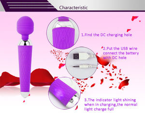 Youmay femelle sûr USB charge Port poignée Sexy jouet sexuel vierges masseur vibrateur - Product Image 6