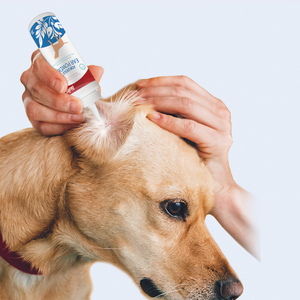 Polvo para depilar orejas de mascotas de secado rápido, antibacteriano, para <span class=keywords><strong>perros</strong></span> y gatos - Product Image 3