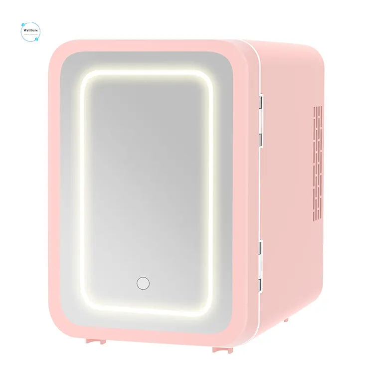 4L uso domestico frigorifero elettrico per la cura della pelle per cosmetici portatile Ac 100V-220V Dc 12V Mini frigorifero cosmetico con luce a LED a specchio