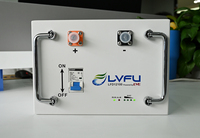 Batterie au lithium LVFU OEM/ODM 12V 300Ah LiFePO4, module de batterie 24V LiFePO4, 12,8 V 100Ah