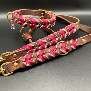 Ramah lingkungan berbagai warna tali kulit asli paracord dikepang anjing kulit slip tangan bebas kerah anjing dan tali menunjukkan memimpin - Product Image 6