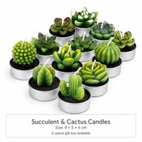 Sukkulenten-Kaktus-Form Wachskerzen-Set 6 Stück Handgemachte Mini-Grünpflanzen Geschenkbox 4x5x6cm Heimdekoration Aromatherapie