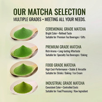 Poudre de matcha Uji de style japonais de qualité supérieure Uji1  Uji4 Grade pour la fabrication de gâteaux, vente en gros pour les cafés et les marques privées