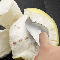 Roestvrijstalen grapefruitschiller met antiaanbaklaag, gekartelde rand, comfortabele grip, handmatig fruit- en groentereinigingsgereedschap voor thuiskeuken
