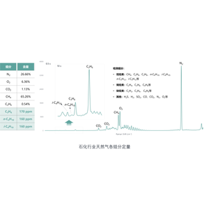 다중 성분 가스 분석기, 가스 성분 동시 온라인 분석 기계, 레이저 라만 분광법 가스 감지기 - Product Image 3