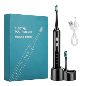 Oral Hygiene Intelligent Tooth Brush Automatic Teeth Whitening Luxury Sonic Electric Toothbrush