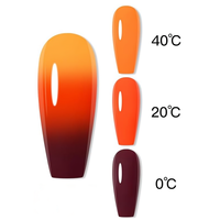 Pigment en poudre thermochromique pour la décoration des ongles Nouveau style de poudre de changement de couleur sensible à la chaleur