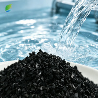 Charbon actif granulaire de coque de noix de coco de qualité alimentaire pour l'élimination du chlore et des odeurs dans les stations d'épuration de l'eau potable