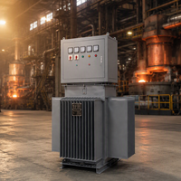 Armoire de contrôle stabilisatrice immergée dans l'huile, sortie 0-650V, compensation de puissance, régulateur de tension à induction triphasé série TNSJA