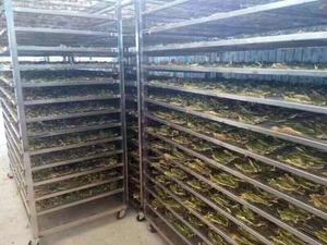 Çekirdek Motor bileşeni ile gıda işleme elektrikli ısıtma kurutma fırını için yüksek kaliteli ticari liyofilizatör - Product Image 4