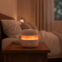 Diffuseur d'arômes en pierre de sel de l'Himalaya avec veilleuse décorative, diffuseur électrique à brume, diffuseur ultrasonique d'huiles essentielles