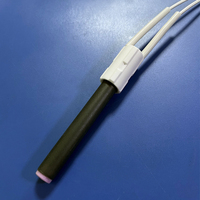 Tube chauffant en céramique pour allumeur / cartouche chauffante 300W 220V en alumine 900-1000 pour poêle à granulés Palazzetti / Ecofire