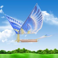 Modèle d'avion à propulsion par élastique, ornithoptère, cerf-volant, jouet pour enfants