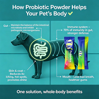 Poudre de Probiotiques Brevetée pour Animaux de Compagnie, 20 Milliards de CFU, Encapsulation Triple Couche, Lyophilisée, Soutien Digestif pour Chiens et Chats, OEM