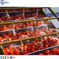 Projet clé en main Ligne de production de pâte de tomate Ligne de fabrication de pâte de tomate Machine