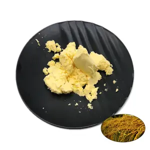 Bổ sung sức khỏe 30% kavalactone bột kavalactone Kava chiết xuất bột