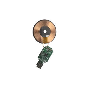 Taidacent 3W 5W 10W 15W <span class=keywords><strong>18W</strong></span> 23W 25W Module de charge sans fil magnétique pour téléphone <span class=keywords><strong>Chargeur</strong></span> inductif Banque d'alimentation sans fil longue distance - Product Image 1