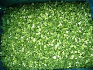 Nhà Máy Cung Cấp Haccp Trung Quốc Đông Lạnh Rau Giá Rẻ Giá Đông Lạnh Rau Mùa Xuân Hành Tây - Product Image 2