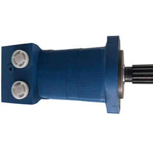 Motores Hidráulicos Profesionales Serie BM2 de Hansen para Equipos Industriales - Origen Shandong, 1 Año de Garantía - Product Image 6