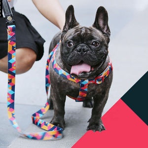 Artículos para Mascotas al por mayor, collares para accesorios, productos para mascotas - Product Image 5