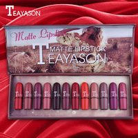 Rouge à lèvres mat à effet bombé en vente chaude, couleur prune rouge, coffret cadeau de rouge à lèvres, ensemble de maquillage