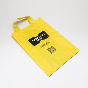 Promotional Custom Logo Printed Stand up Pouch Shopping Bag with Soft Loop Handle Recyclable PE Plastic Screen Printing - Product Image 6