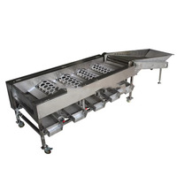 Automatische fruit- en groentesorteermachine voor kersen, olijven, appels, sinaasappels, uien, tomaten, avocado's en aardappelen.