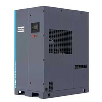 Atlas Copco GA45 Plus GA45 GA22 VSD Compresseurs d'air rotatifs stationnaires à vis 220V 380V 45KW 22KW Moteur électrique