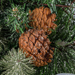 Co-Arts Mini sapin de Noël en pot facile avec décor de Noël pour cadeau - Product Image 3