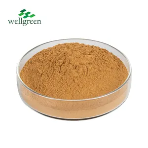 Fssc22000 GMP Supply 10:1 Chrysanthemum Flower Extract Powder For Tea Bags