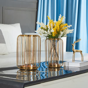 مزهرية زجاجية عصرية على شكل قفص طيور معدني للديكور المنزلي الفاخر بأسلوب شمال أوروبا - Product Image 2