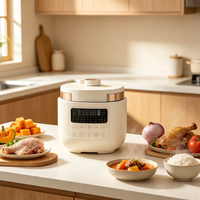 Cuisinière à pression électrique intelligente de 4 litres, panneau tactile, minuterie 24h, taille compacte pour 2 à 4 personnes, vente en gros