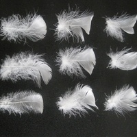 Tissu blanc délavé en plumes de canard, oreiller avec insertion de plumes pour hôtel, 24, lot de 1