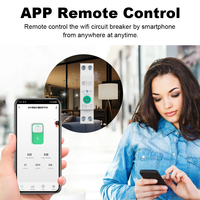 Sakelar Pemutus Sirkuit WIFI Smart Switch 63A 1P dengan Pengukuran Daya, Pemantauan, Timer, dan Relay untuk Rumah Pintar dengan Kontrol Jarak Jauh Nirkabel