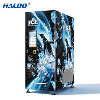Máquina expendedora de hielo en oferta, 600 kg por día, 24 horas, autoservicio sin personal, máquina expendedora de hielo en bolsas para negocios al aire libre